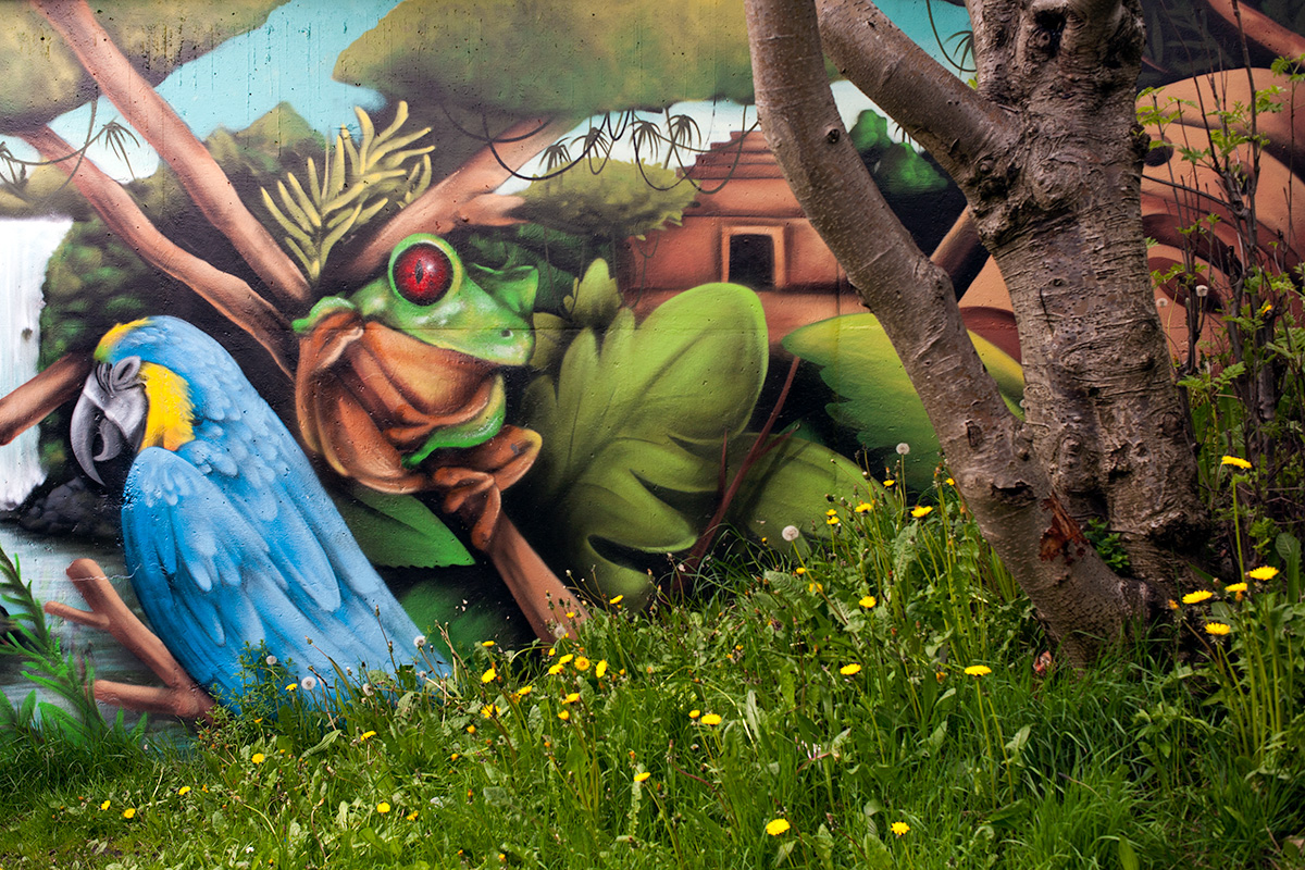 The painted wall of Debdale pedestrian underpass