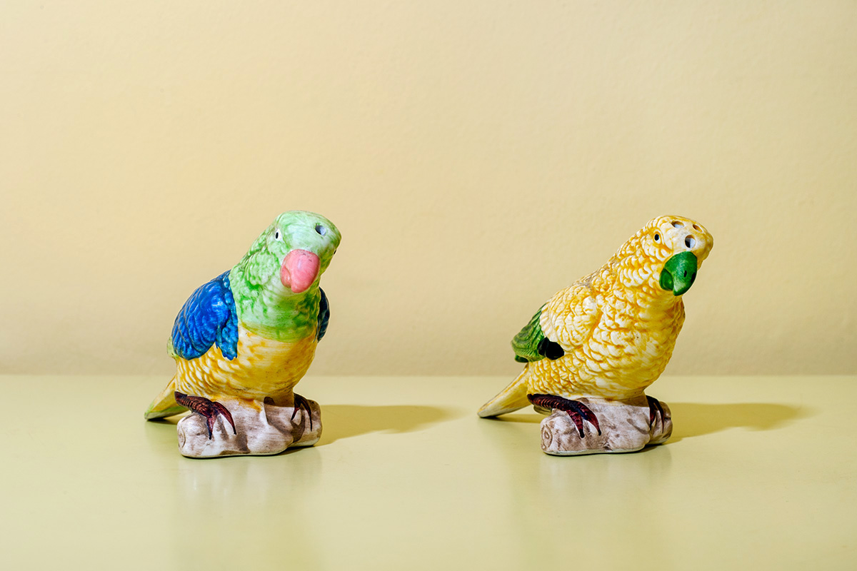 Canary salt and pepper shakers