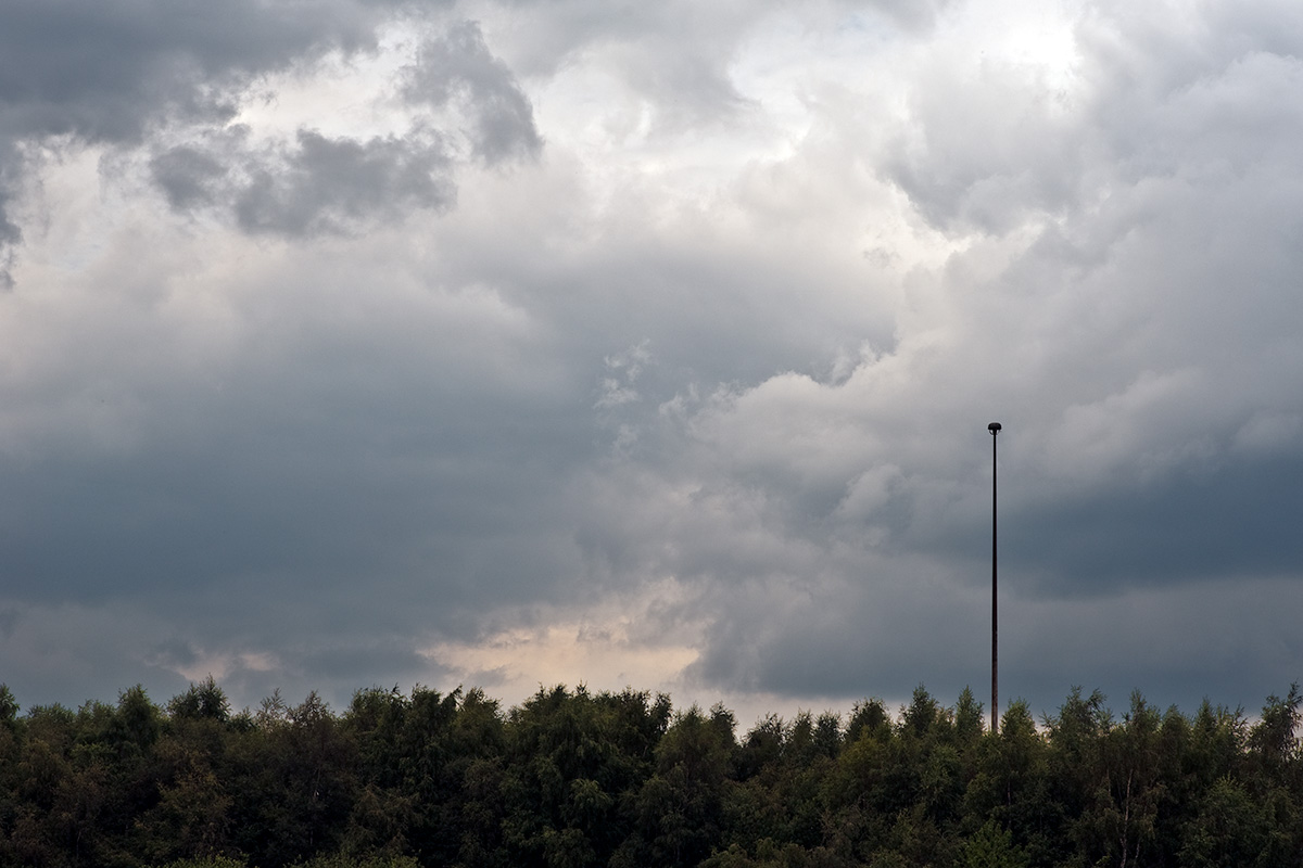 A long established barrier of trees in an industrial area of Manchester