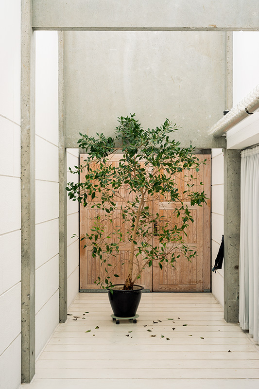 A doorway blocked with a potted plant on a wheeled base at Bagsværd Kirke, Copenhagen, designed by Jørn Utzon