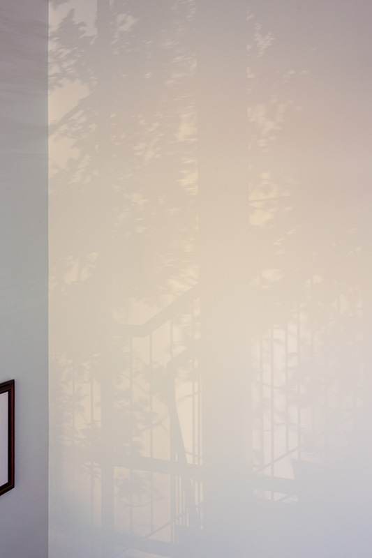 The shadow of a banister rail and tree on a stairwell wall