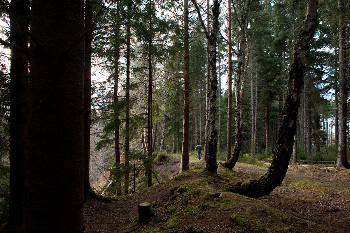 Colin Stronge on a woodland walk near Clootie Well, near Munlochy