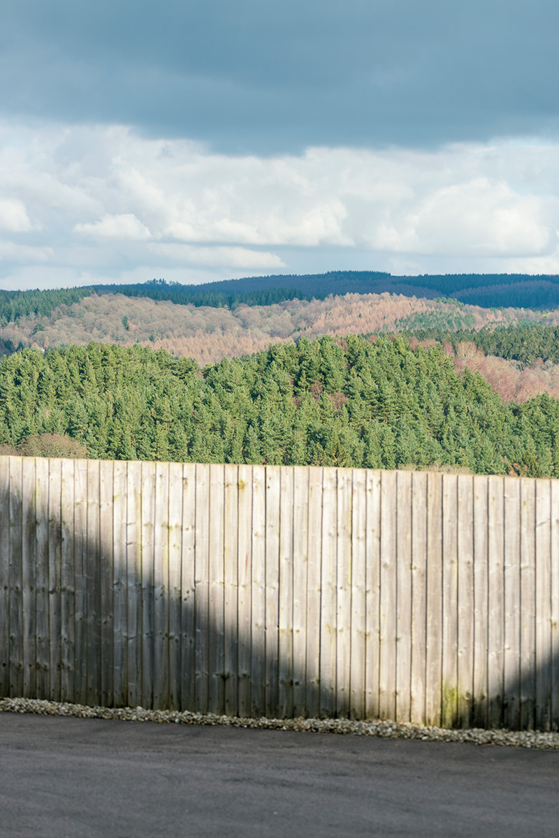 Looking over a residential fence in Bream across the Forest of Dean