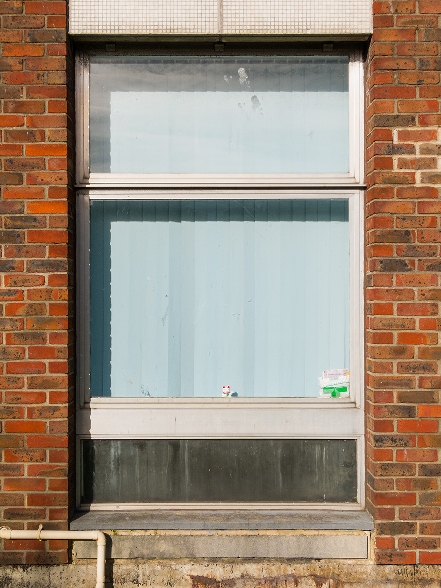 A waving cat facing outward on a window sill at a hospital