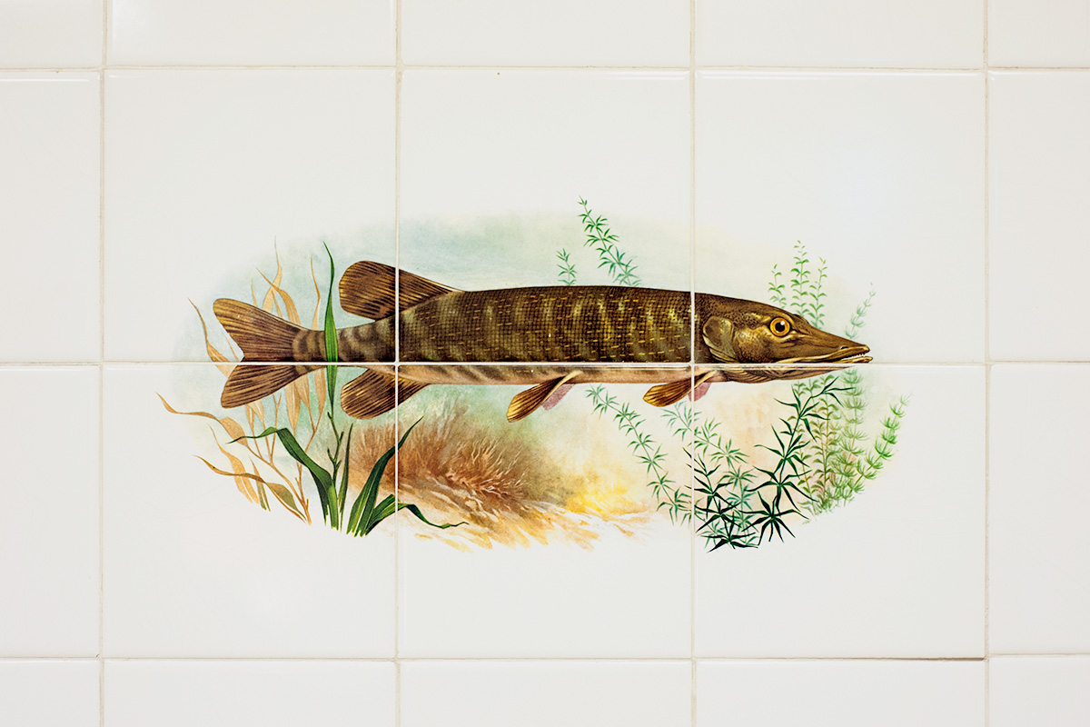 Tiles printed with fish in a Chinese takeaway in Rusholme, Manchester