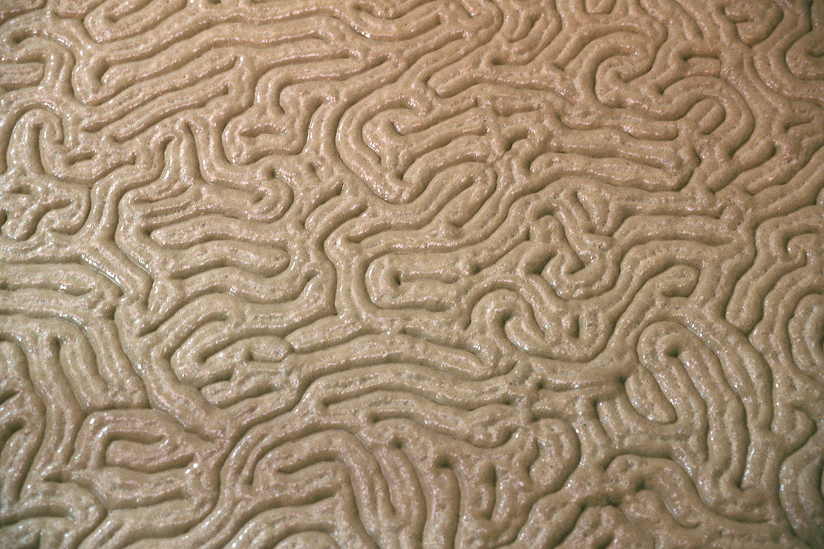 Yeast atop beer in an open fermenting vessel at Robinson's Brewery