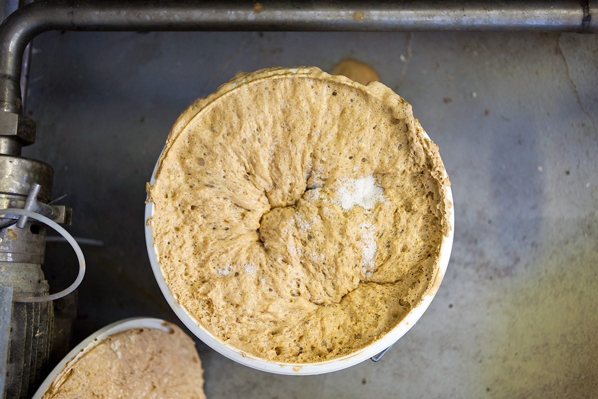 A tub of yeast