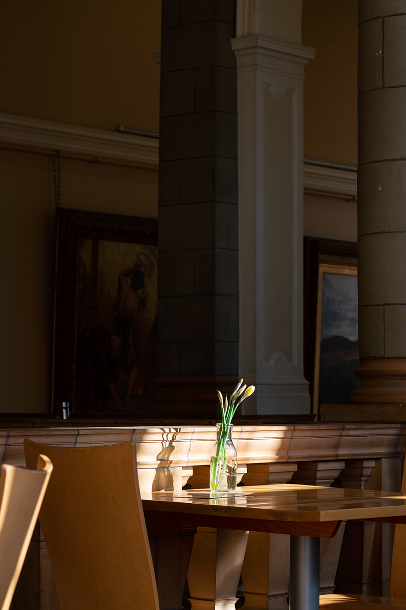 Daffodills in a beam of sunshine in the Balcony Cafe, Worcester City Art Gallery