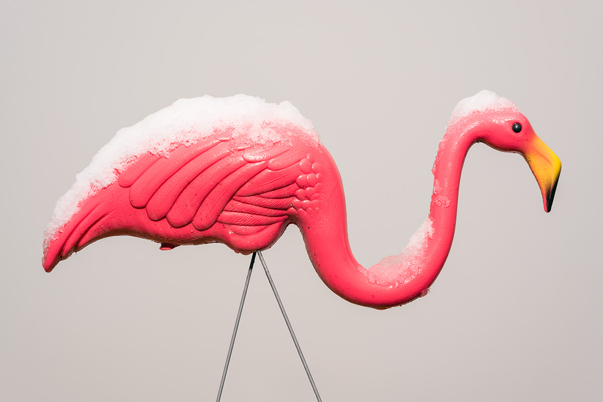 A plastic garden ornament of a pink flamingo, topped with snow