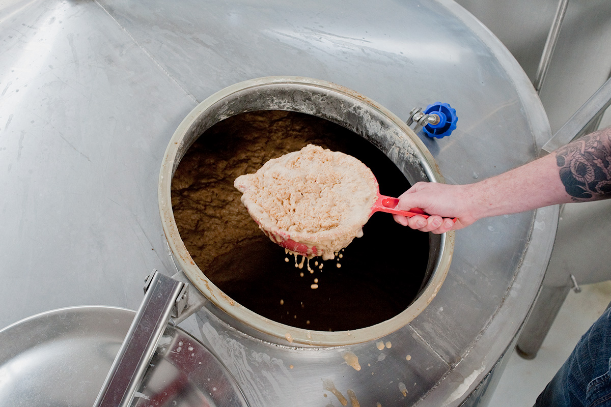 Colin Stronge cropping yeast from a fermenting vessel at Black Isle Brewery