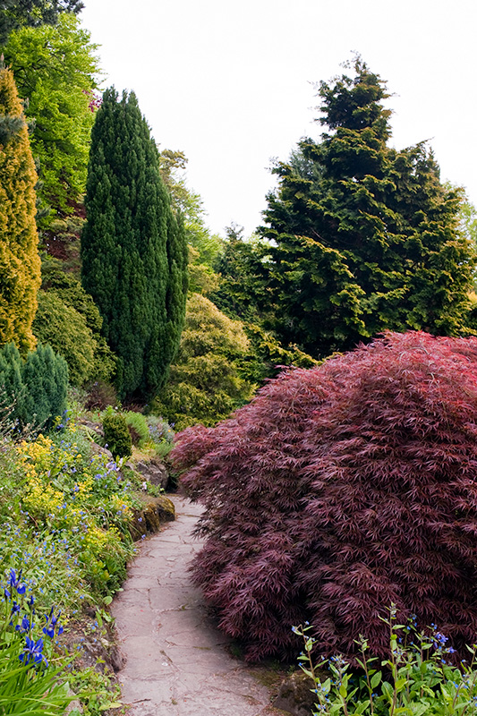 The gardens at Fletcher Moss, Didsbury, Manchester