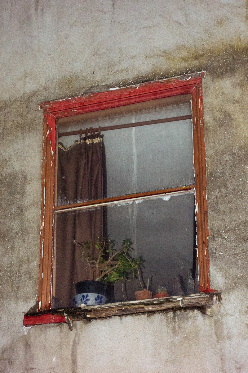 The window of a room above a shop in Bristol, with a bonsai tree, cacti and statuettes on the windowsill, before a blind on an askew pole. The outside of the building show a high degree of wear.