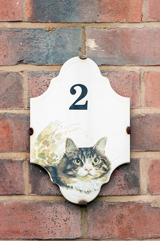 Cat door sign, Oldbury