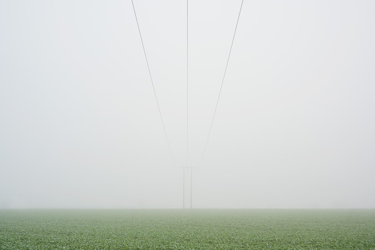 Fog over a field growing winter vegetables, with telephone lines receding into the fog