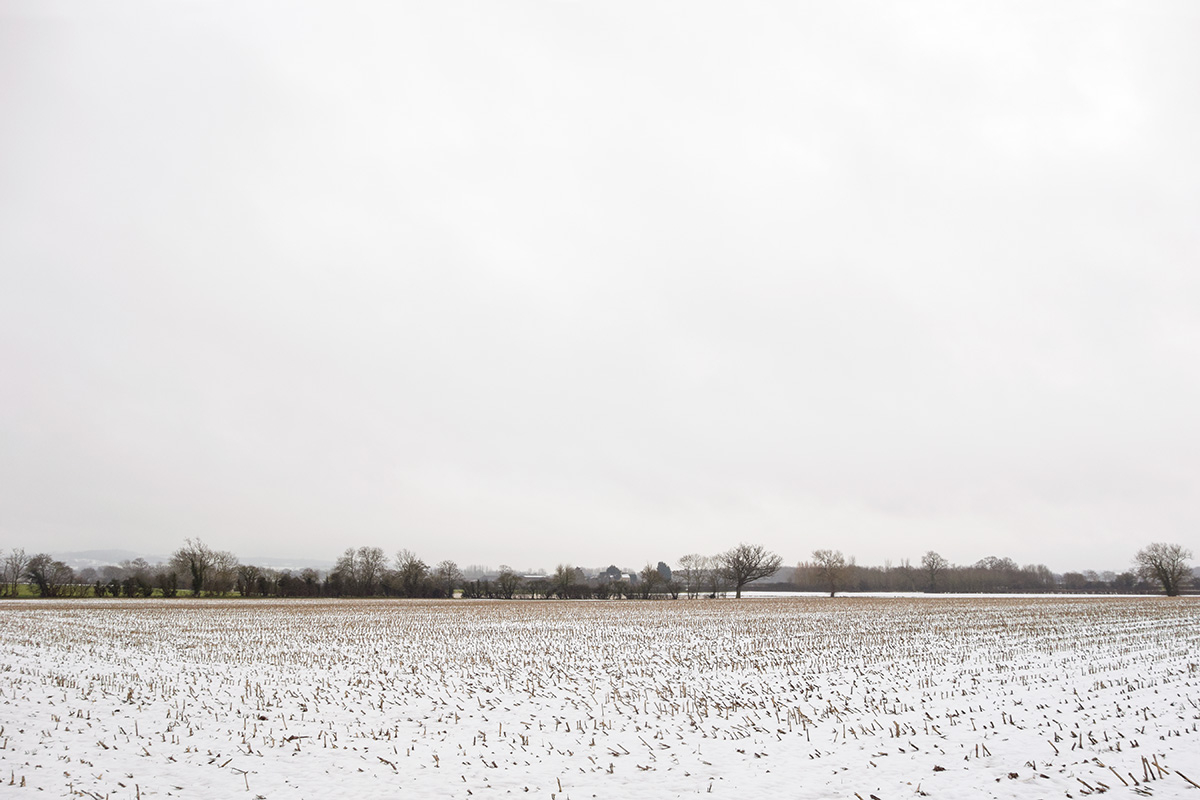 Crop stubble poking through snow in a field in Moreton-in-Marsh, Gloucestershire