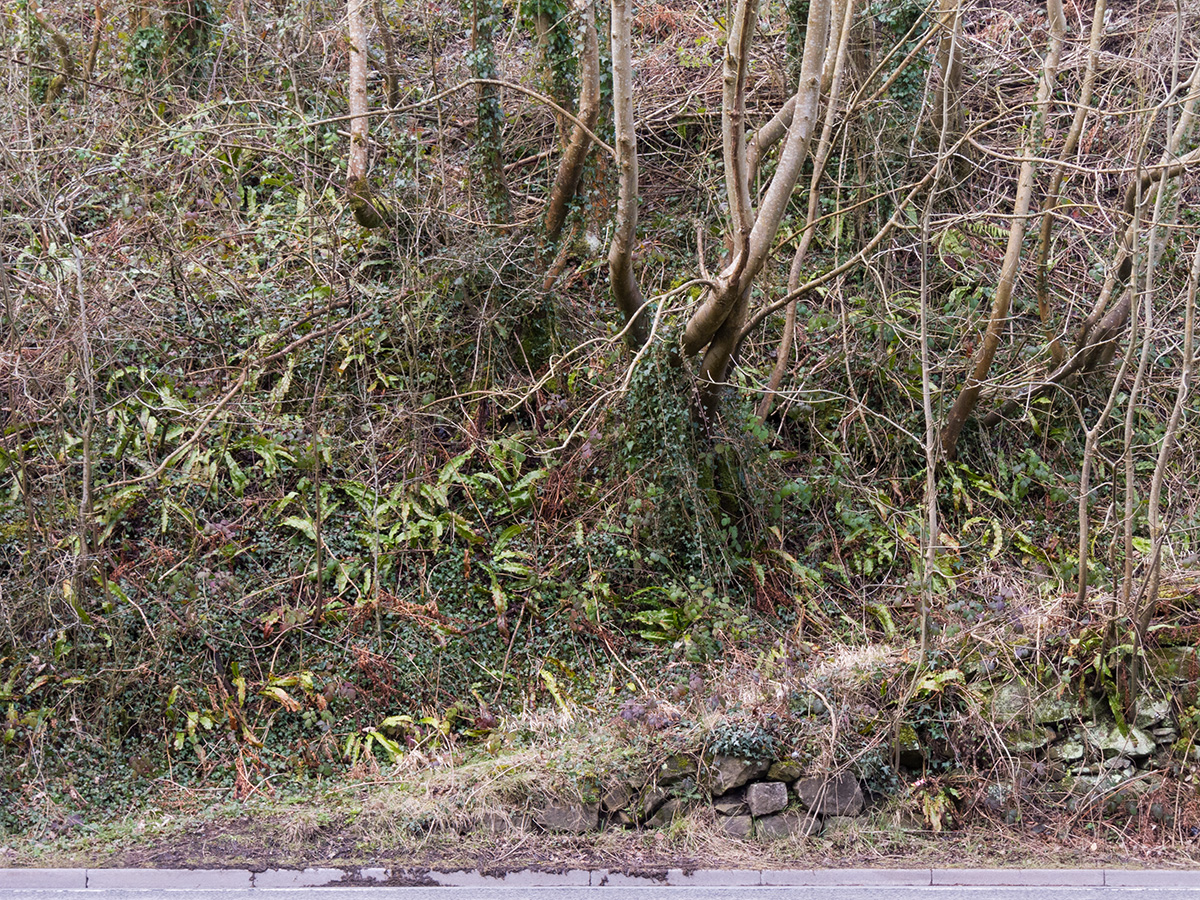 A sloped roadside path in Lydbrook, Gloucestershire