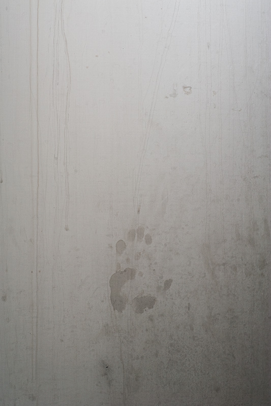 Handprint on a fermenting vessel, Black Isle Brewery