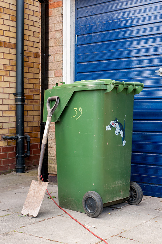 Sylvester the cat on a green bin in Hollywood, Worcestershire