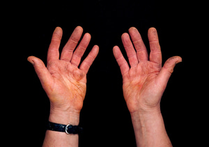 A cabinet maker's hands