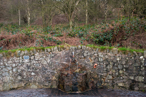 Hayslad spring, West Malvern