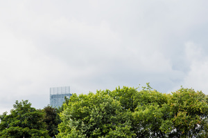 Beetham Tower, seen over treetops in Hulme