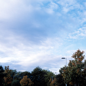 Trees with street lights showing roads, Birley Fields, Hulme