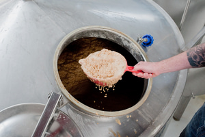 Colin Stronge cropping yeast from a fermenting vessel at Black Isle Brewery