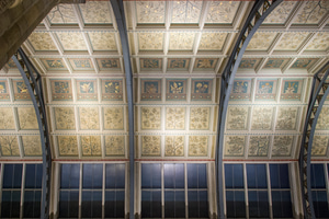 The ceiling of the main hall of the Natural History Museum, London