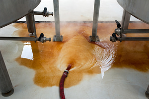 Wort runoff