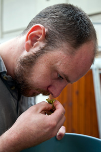 Brewer Colin Stronge smelling hops